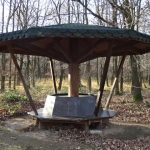 Wanderpilz in der Drover Heide