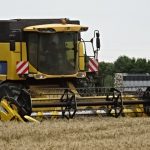 Mähdrescher bei der Ernte
